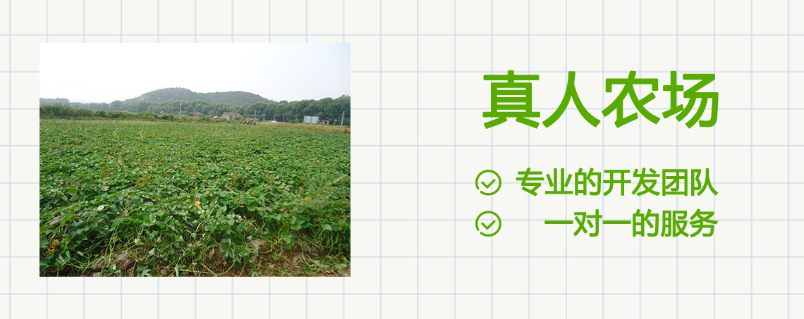 真人农场开发