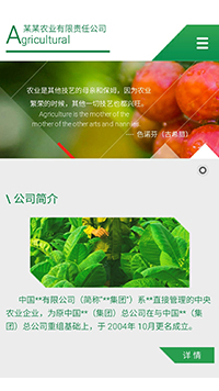 农业/酒业/红酒网站设计农业 斜面 个性