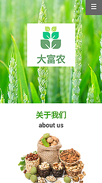 农业/酒业/红酒网站设计大富农