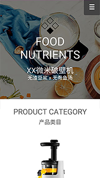 家电/通讯/数码网站设计FOOD NUTRIENTS