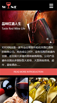 农业/酒业/红酒网站设计品位红酒人生
