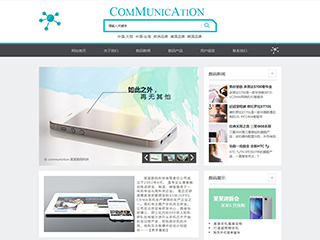 家电/通讯/数码网站建设COMMUNICATION