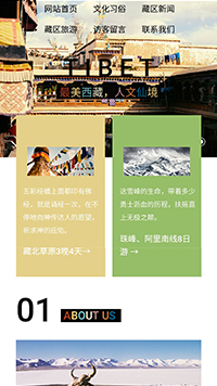 文化/婚庆/展会网站设计藏族文化官网