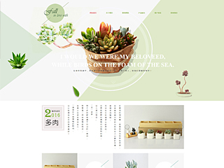 鲜花/文具/书籍网站建设多肉植物