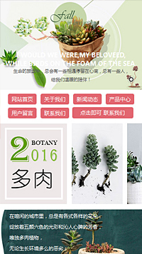 鲜花/文具/书籍网站设计多肉植物