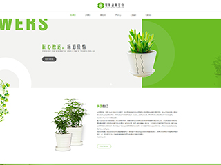 鲜花/文具/书籍网站建设某某盆栽花店