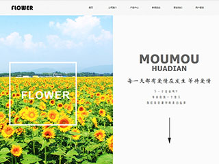 鲜花/文具/书籍网站建设FLOWER 半边图片