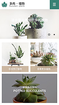 鲜花/文具/书籍网站设计多肉·植物