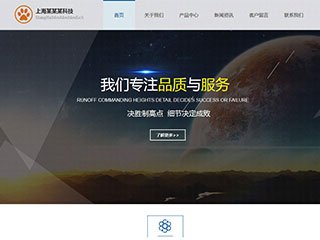 IT科技/软件网站建设上海某某某科技