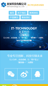 IT科技/软件网站设计某某科技有限公司