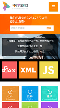 IT科技/软件网站设计平定软件