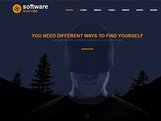 IT科技/软件网站建设software