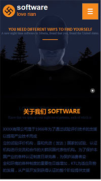 IT科技/软件网站设计software