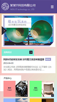 IT科技/软件网站设计某某IT科技有限公司 最实验 玩真的