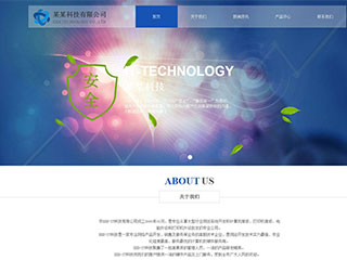 IT科技/软件网站建设某某科技有限公司