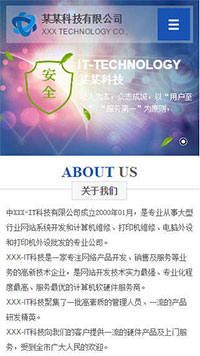 IT科技/软件网站设计某某科技有限公司