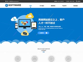 IT科技/软件网站建设SOFTWARE?