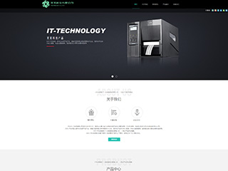 某某科技有限公司网站建设
