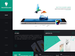 IT科技/软件网站建设TECHNOLOGY