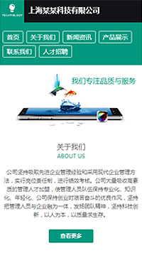 IT科技/软件网站设计TECHNOLOGY