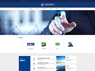某某科技有限公司网站建设