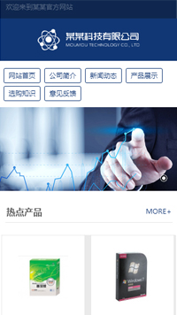 某某科技有限公司网站设计