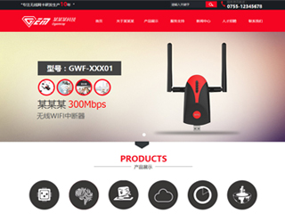 某某某科技网站建设