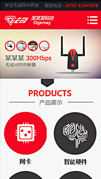 某某某科技网站设计