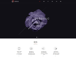 某某科技-banner大花网站建设