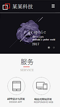 IT科技/软件网站设计某某科技-banner大花