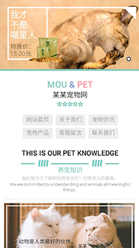玩具/宠物/工艺品网站设计MOU&PET 喵星人