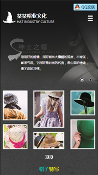 服装/鞋帽/箱包网站设计某某帽业文化