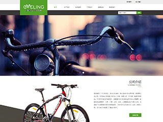 运动/娱乐/休闲网站建设中国知名自行车领航者 山地车