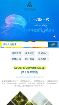 票务/旅游/餐饮网站设计某某旅游