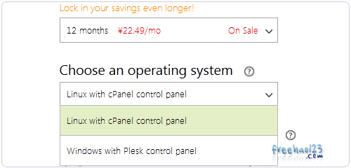 英文个人博客域名主机空间