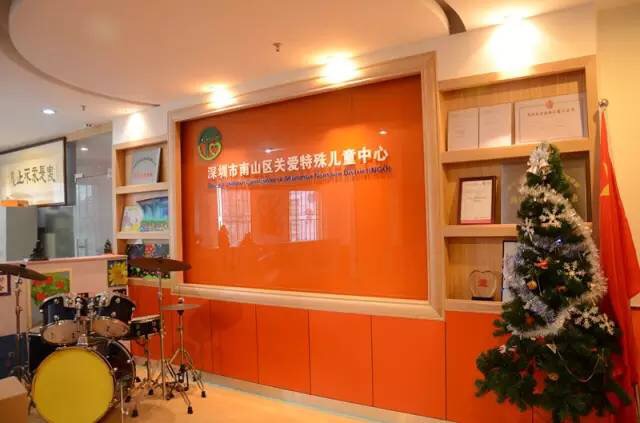 深圳市南山区关爱特殊儿童中心网站建设