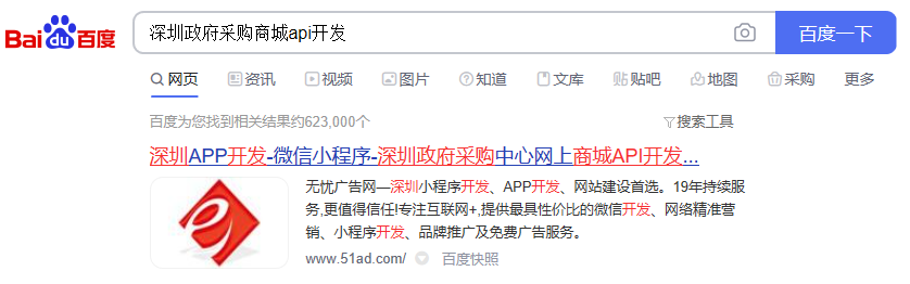 深圳政府采购商城API开发百度排行第一