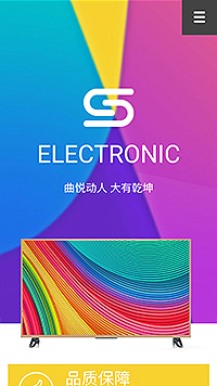ELECTRONIC网站设计