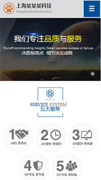 上海某某某科技网站设计